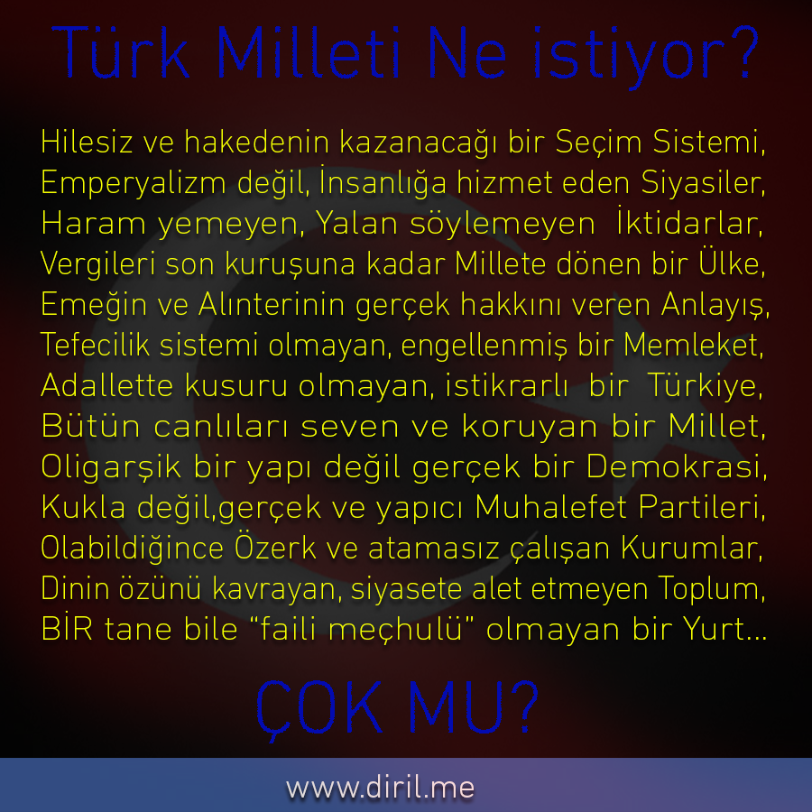 2013-06-15_TürkMilletiNeİstiyor1_900x900